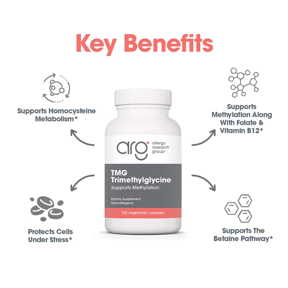 Allergy Research Group TMG powder measure ready for daily use.