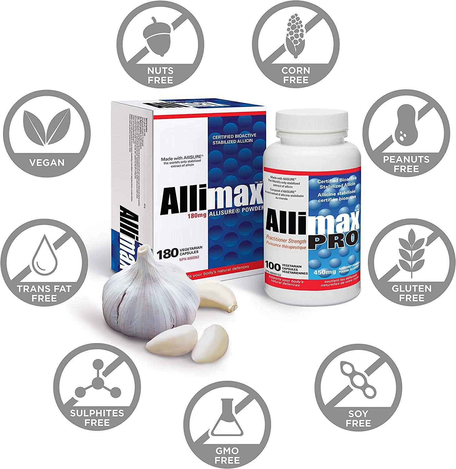 ALLIMAX allicin derivatives circulate after digestion.