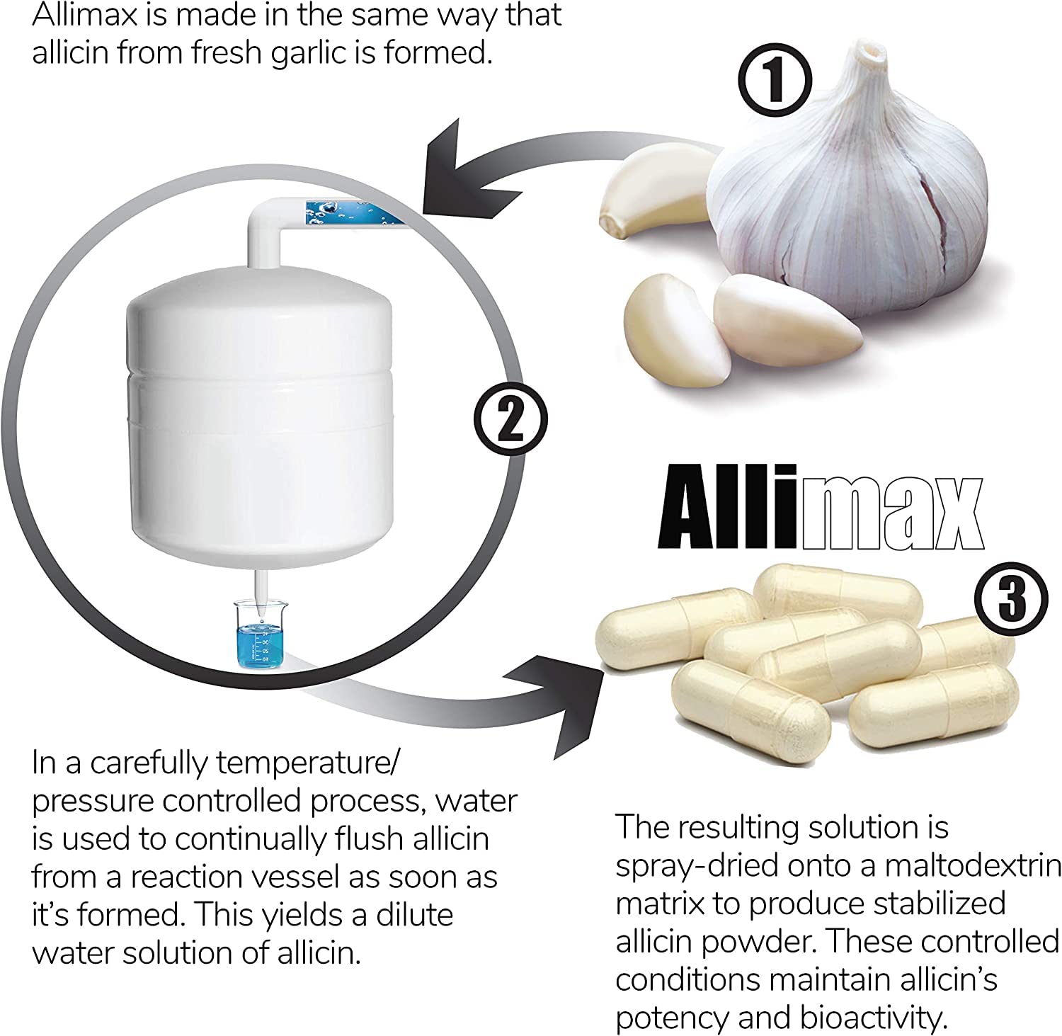 ALLIMAX immune support potential delivered through stabilized allicin.