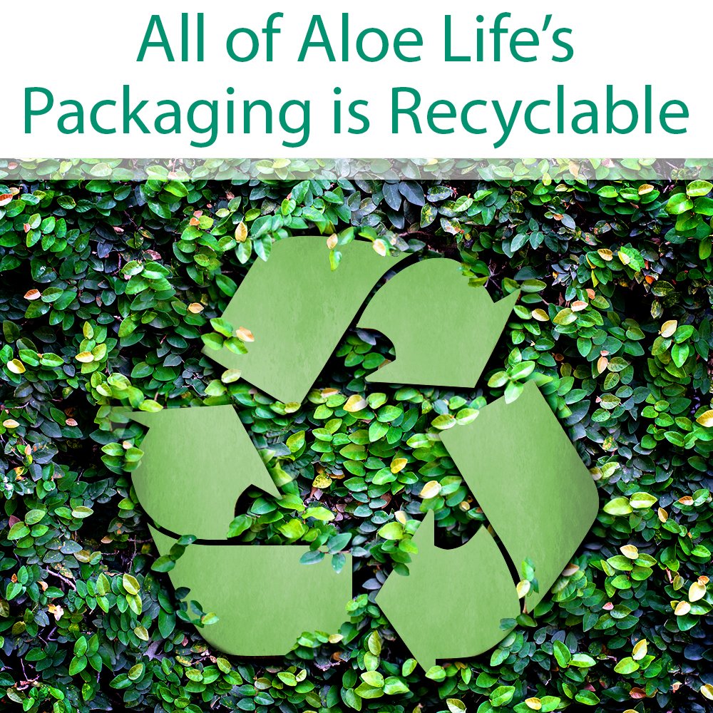 Family scene with children and adults using Aloe Life
