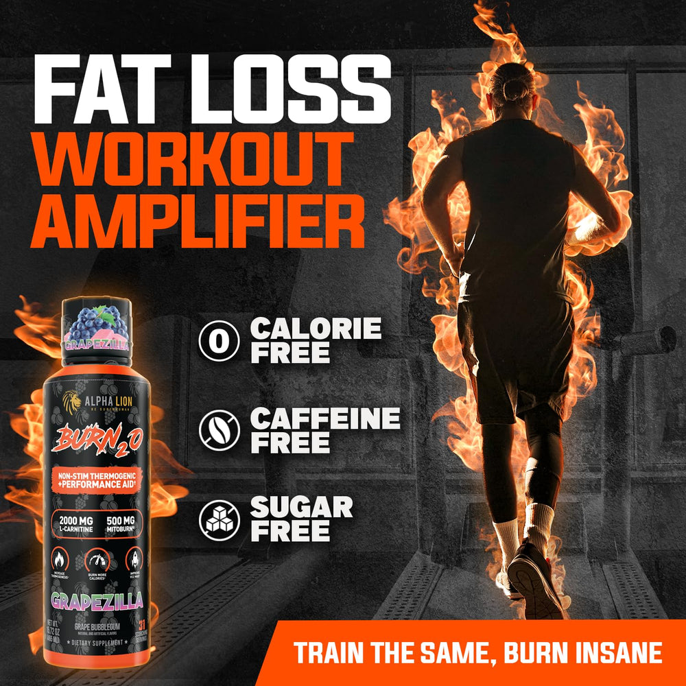 ALPHA LION Burn2O scorchberry flavor bottle showcases bold flavor with zero calories