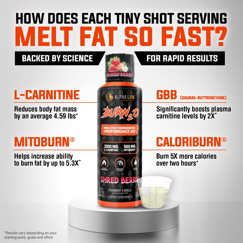 ALPHA LION Burn2O L-Carnitine Grapezilla flavor bottle conveys tasty pre-workout shot option.
