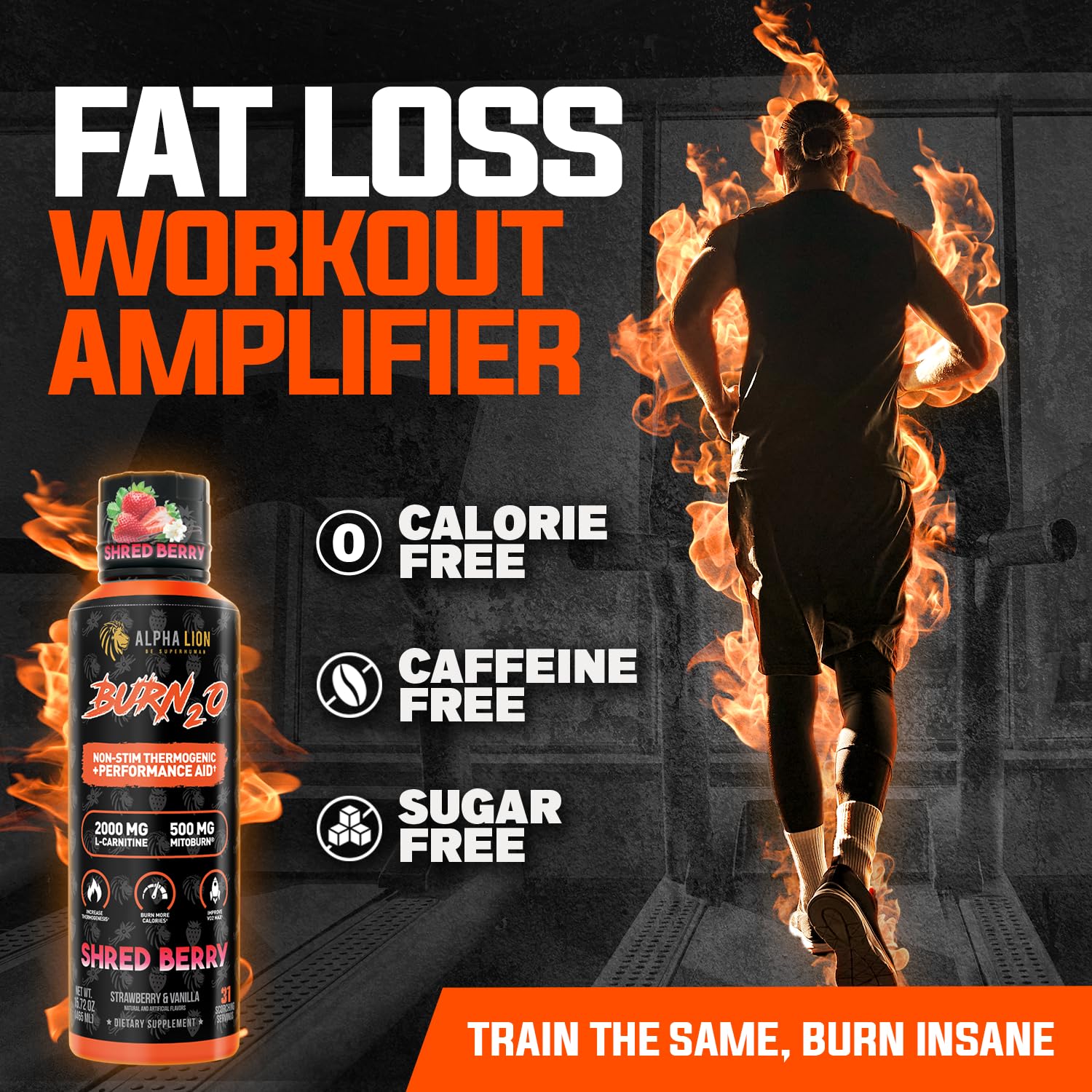 ALPHA LION Burn2O L-Carnitine label close-up highlights 2000mg potency for metabolism support.