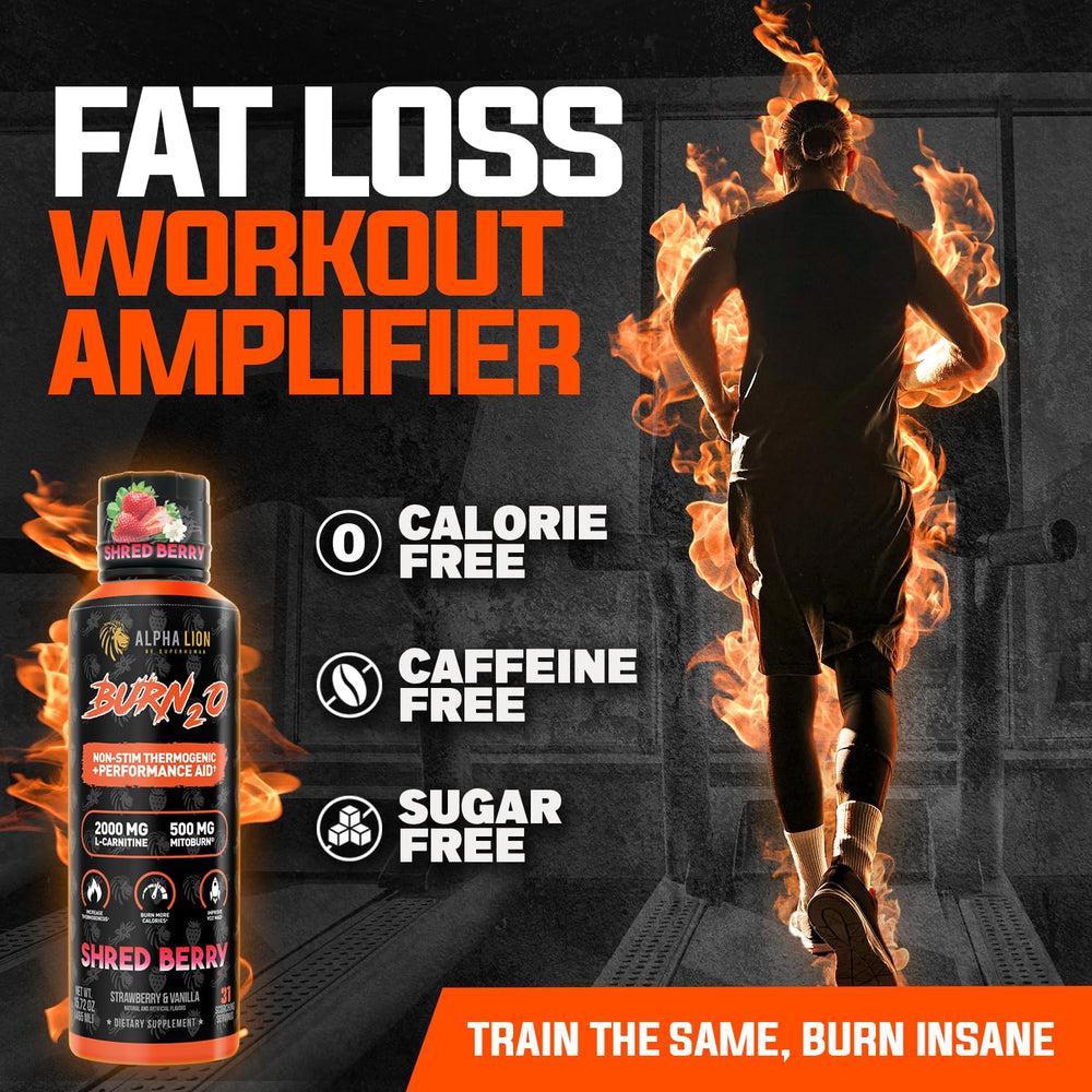 ALPHA LION Burn2O L-Carnitine label close-up highlights 2000mg potency for metabolism support.