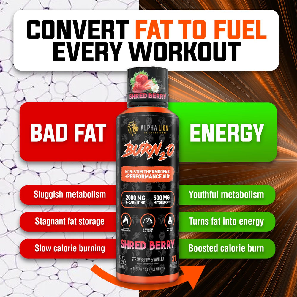 ALPHA LION Burn2O L-Carnitine ScorchBerry flavor label indicates caffeine-free metabolism support.