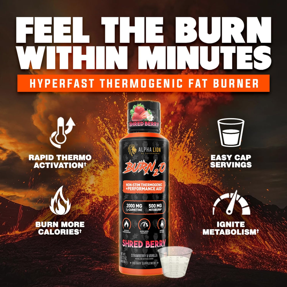 ALPHA LION Burn2O L-Carnitine shot glass emphasizes quick metabolism-friendly daily boost.