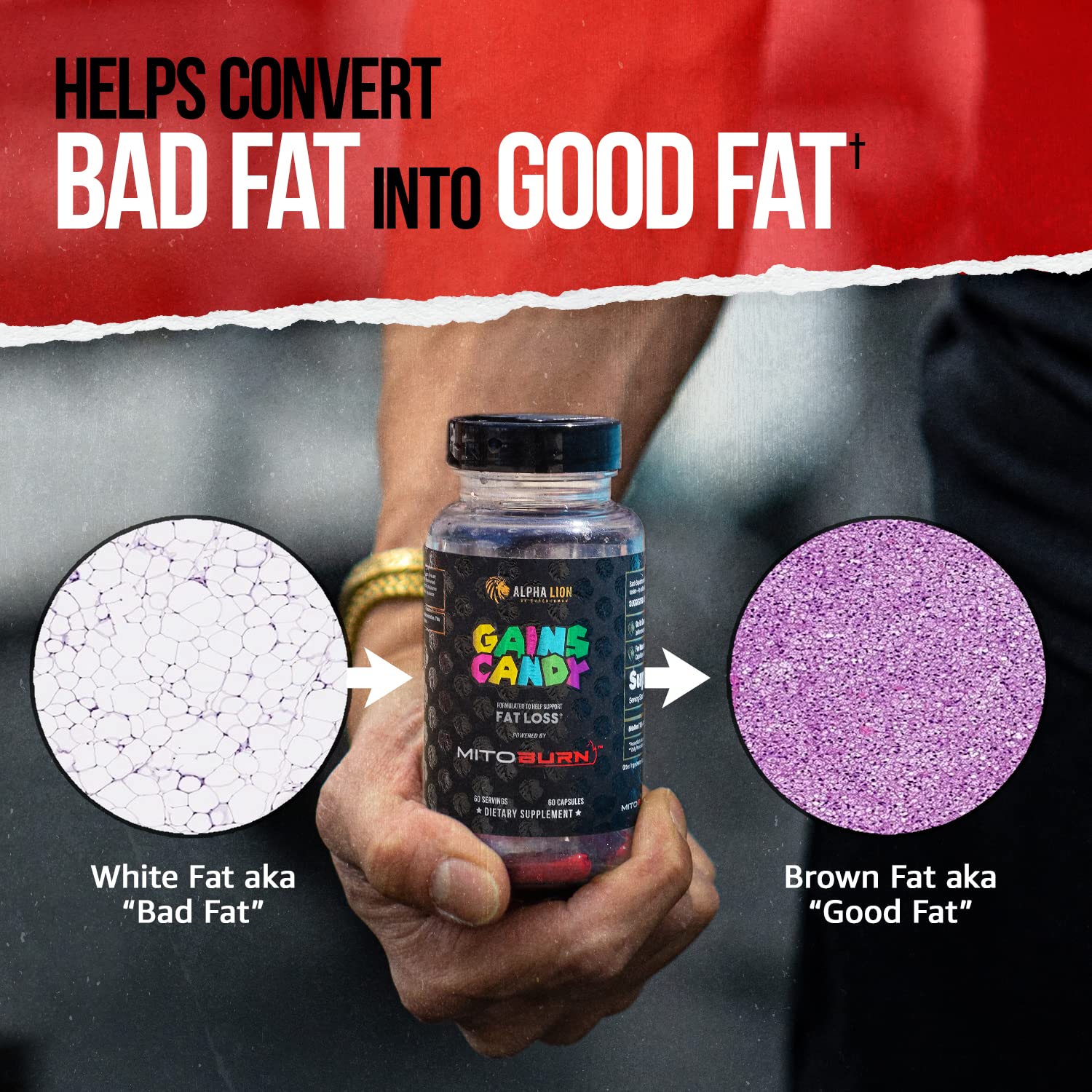 Gains Candy shown in gym scene for workouts and energy.
