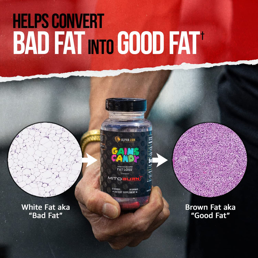 Gains Candy shown in gym scene for workouts and energy.