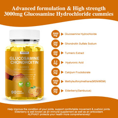 ALPHA01 bottle label featuring elderberry and antioxidant blend