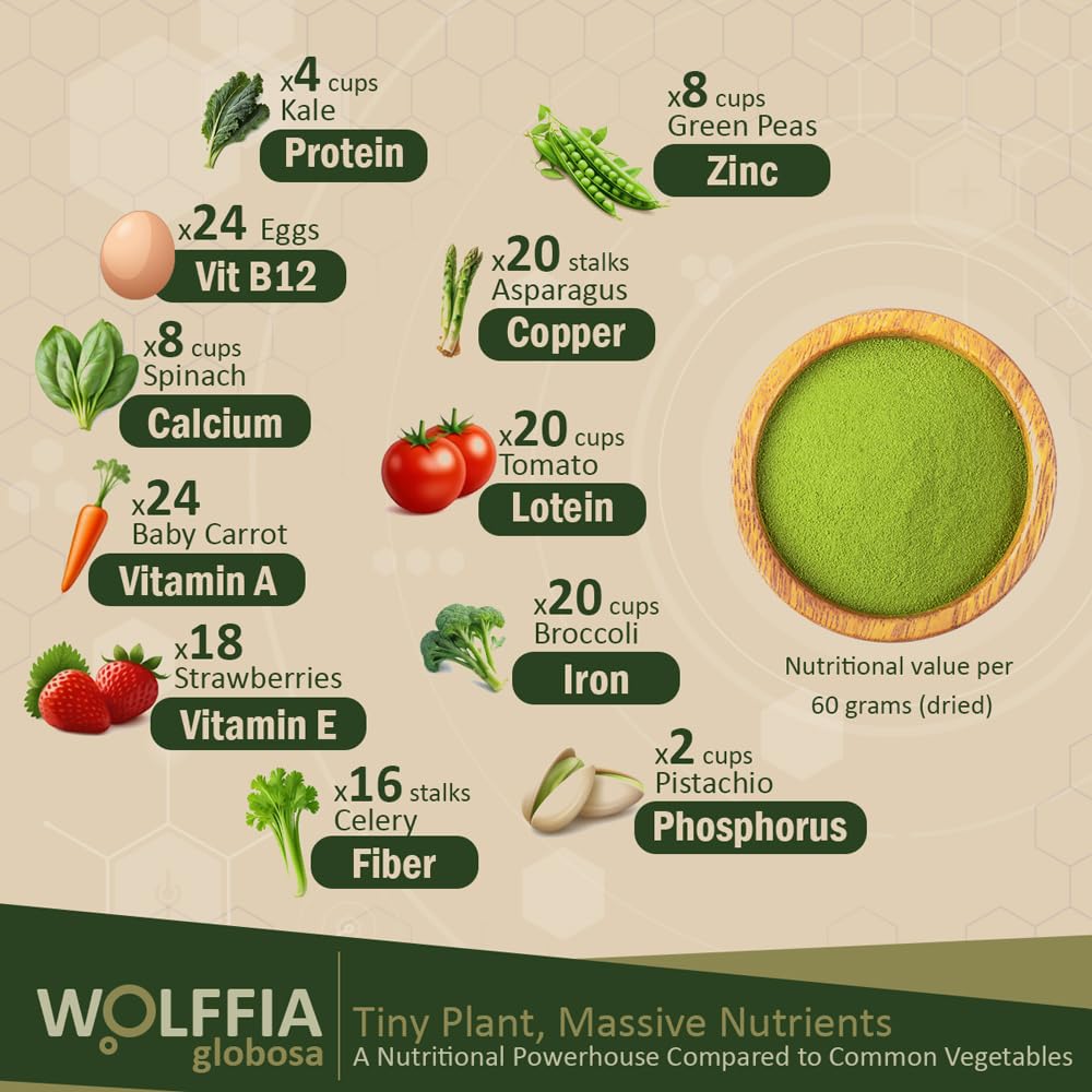 AMA GROW Wolffia dried texture close-up highlights tiny nutrient-rich particles.