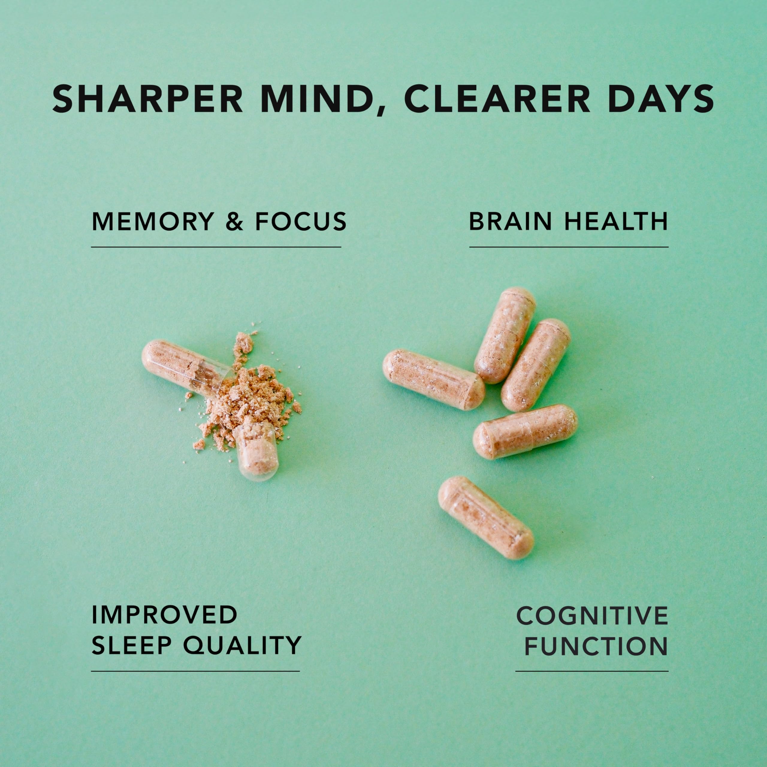 AMANDEAN label shows Lion’s Mane extract for cognitive support