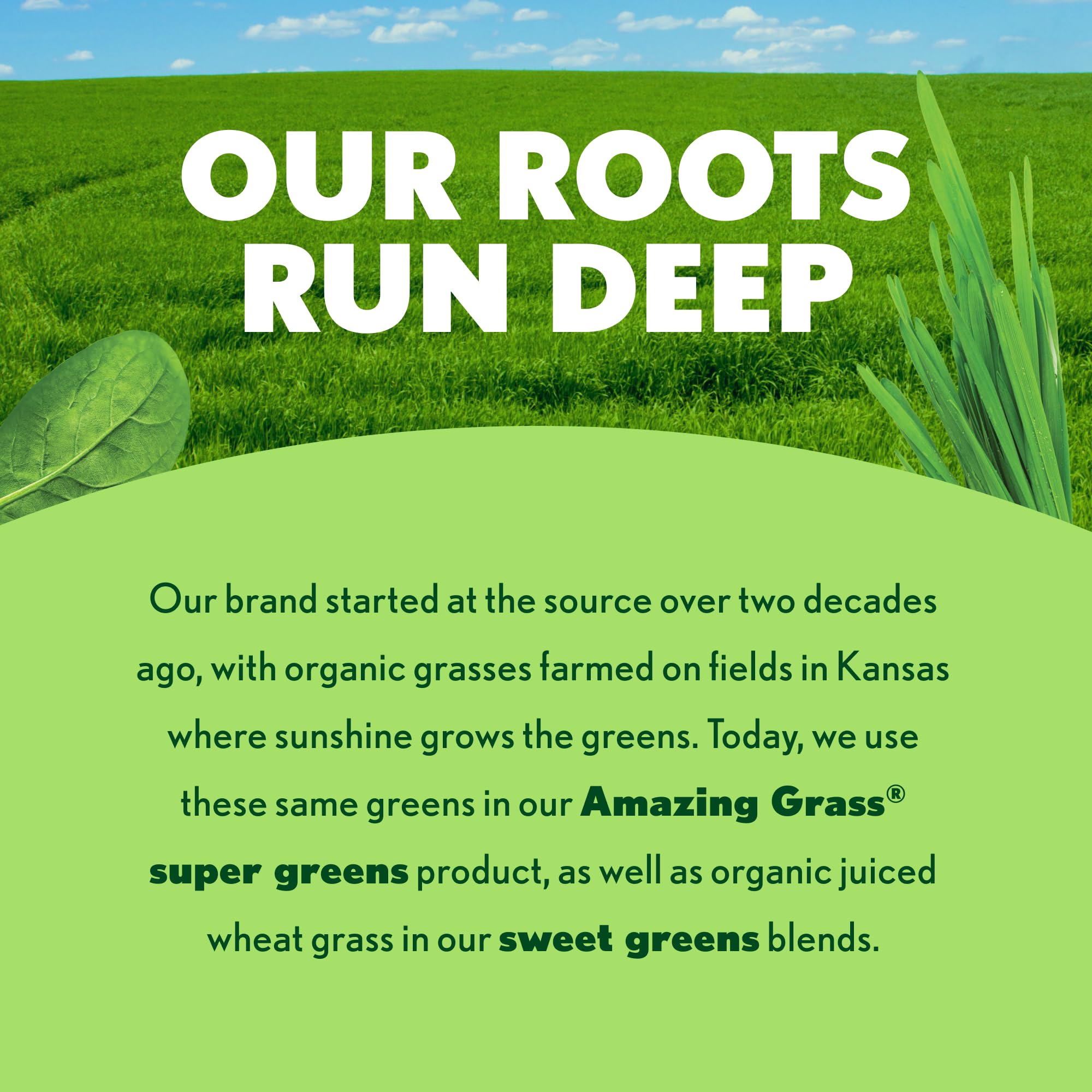 A jar of Amazing Grass with a berry flavor label for everyday snacks.