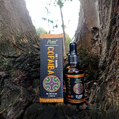 Copaiba Oil massage blend ready for body care sessions.
