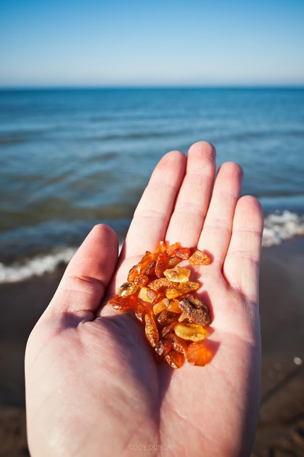 Amber Touch Baltic Amber Necklace unisex natural-origin amber in warm tones.