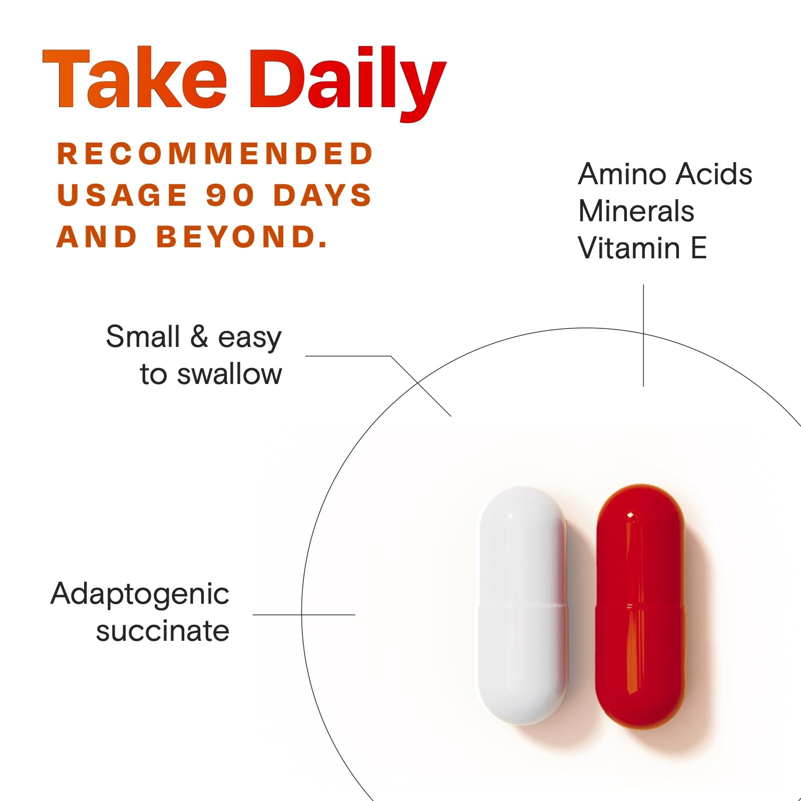 Amberen vitamin E ingredient close-up for antioxidant support.