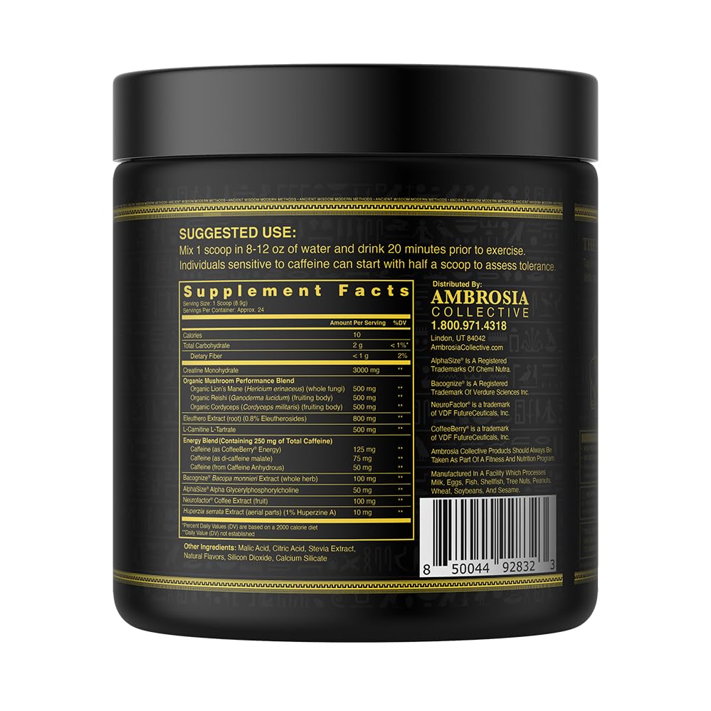 Ambrosia Kinetic mushroom-enhanced nootropic blend for sustained performance
