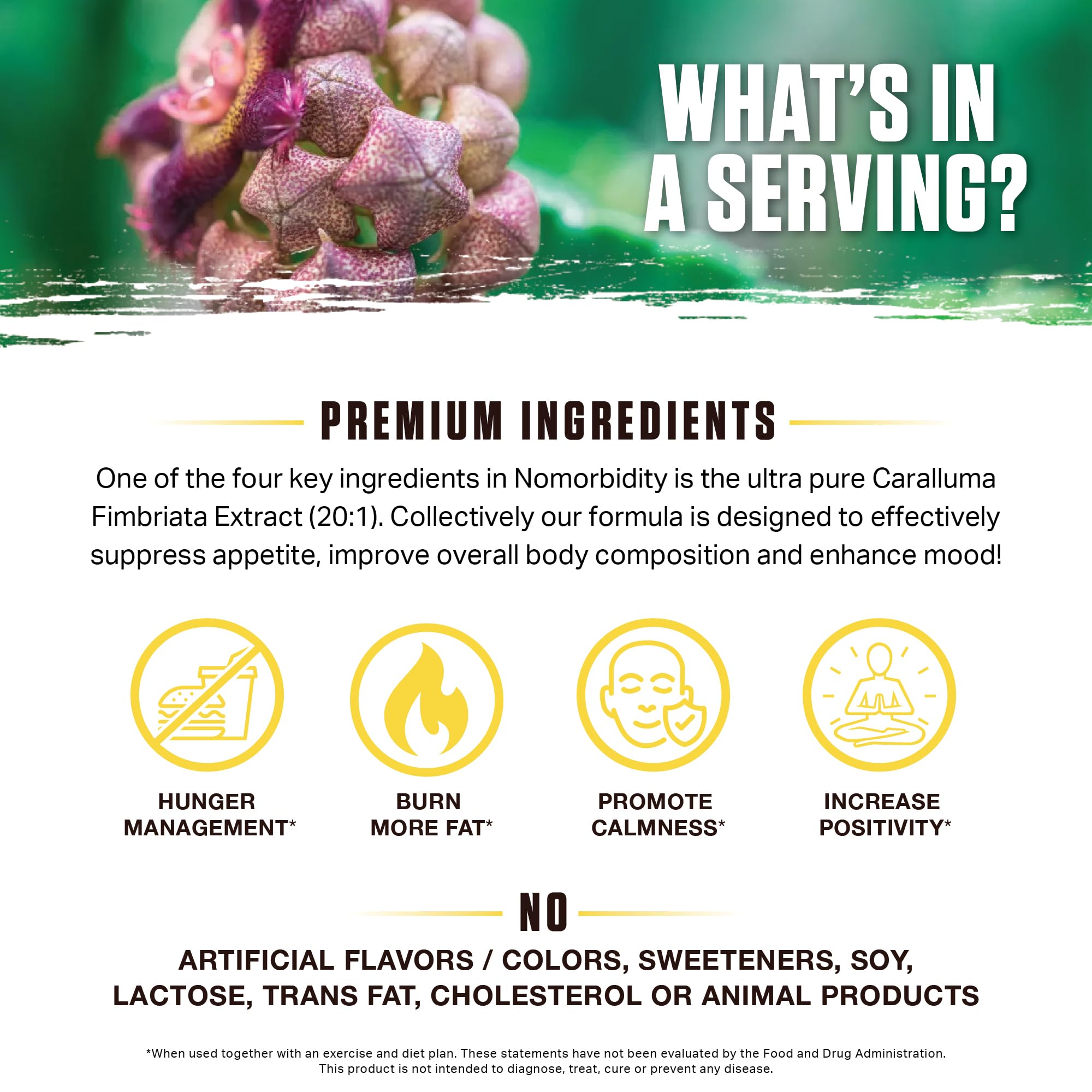 Ambrosia Nomorbidity mood-support graphic signaling stress relief synergy with appetite control.