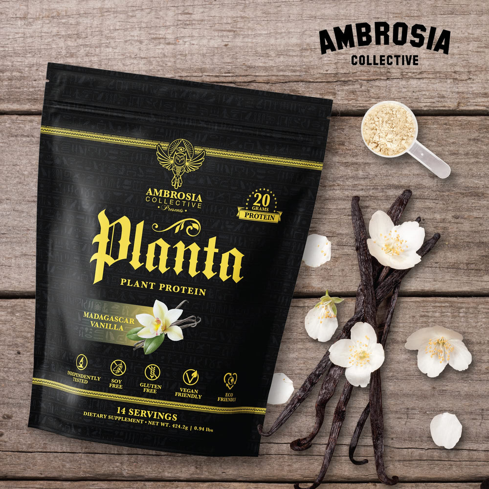 Ambrosia Planta Vanilla flavor glass with serving suggests gourmet taste experience
