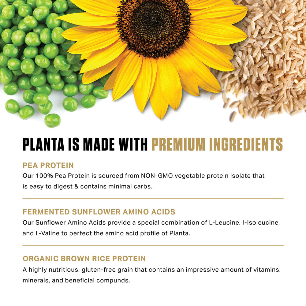 Ambrosia Planta shake in glass with creamy texture and rich color.