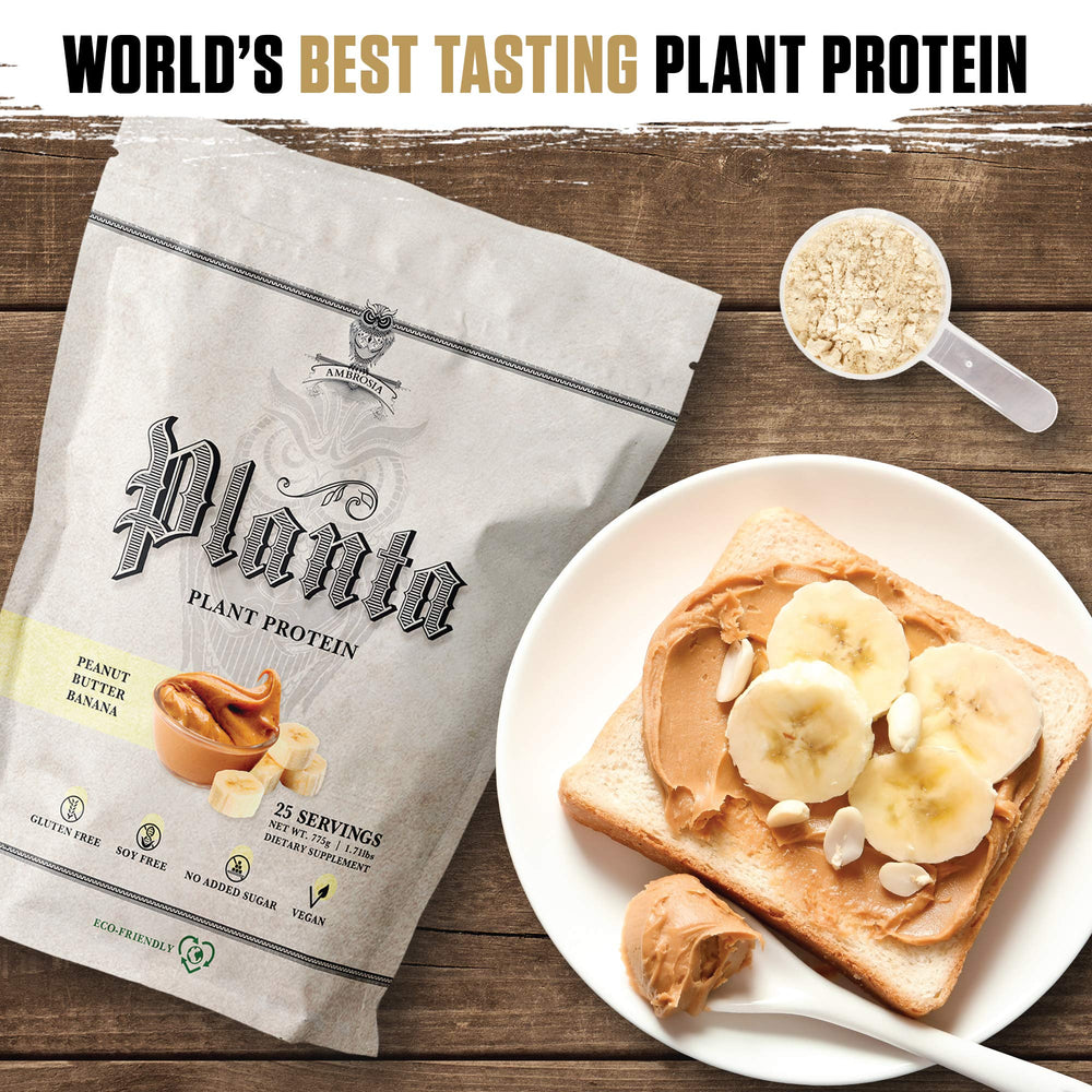Ambrosia Planta powder in shaker for easy on-the-go protein.