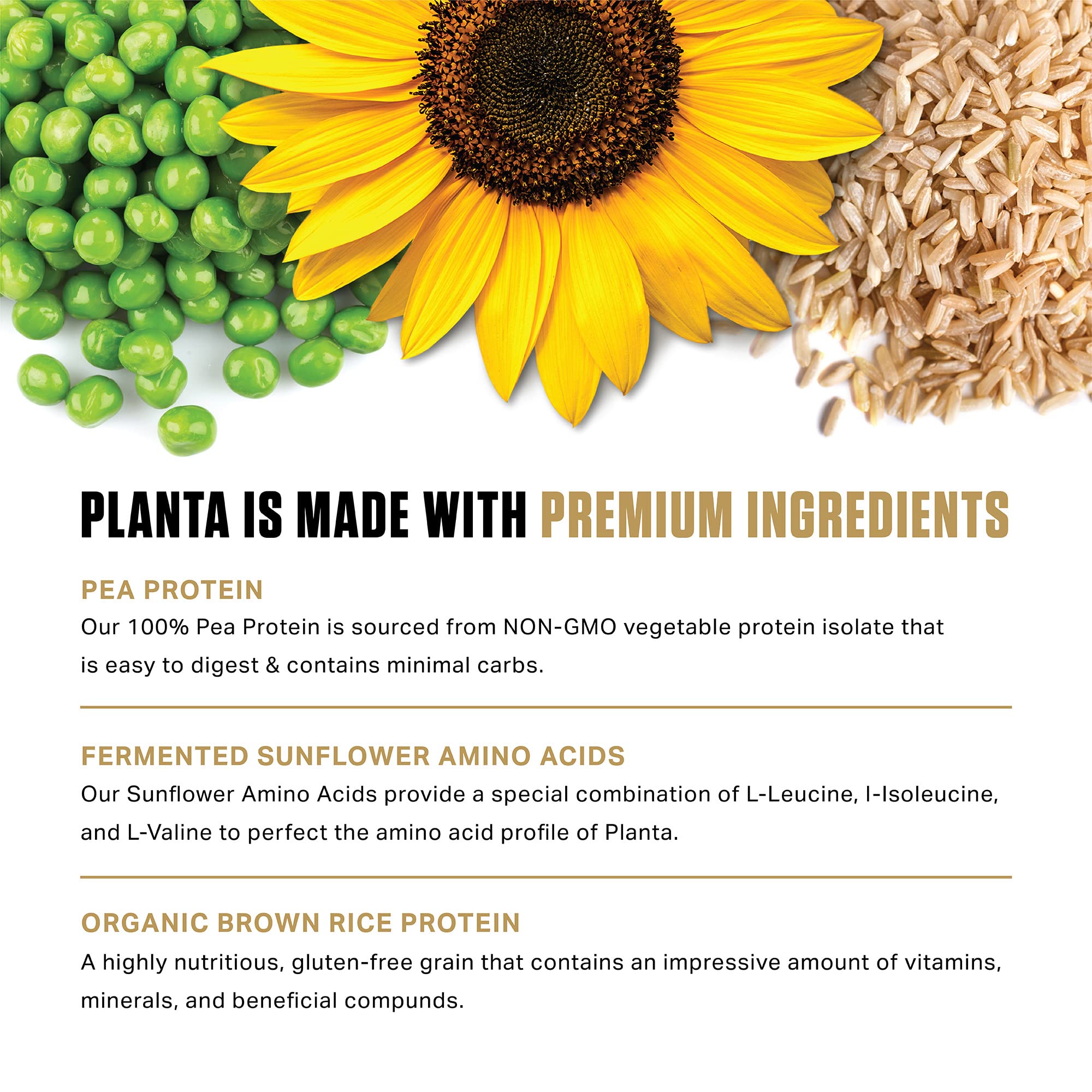 Ambrosia Planta post-workout setup with 20g protein and low calories