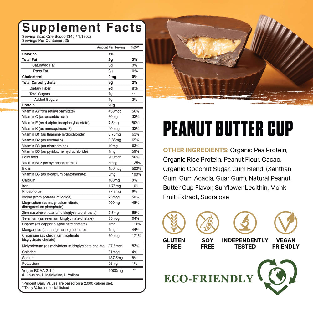 Ambrosia Planta protein powder being measured with a scoop for easy dosing