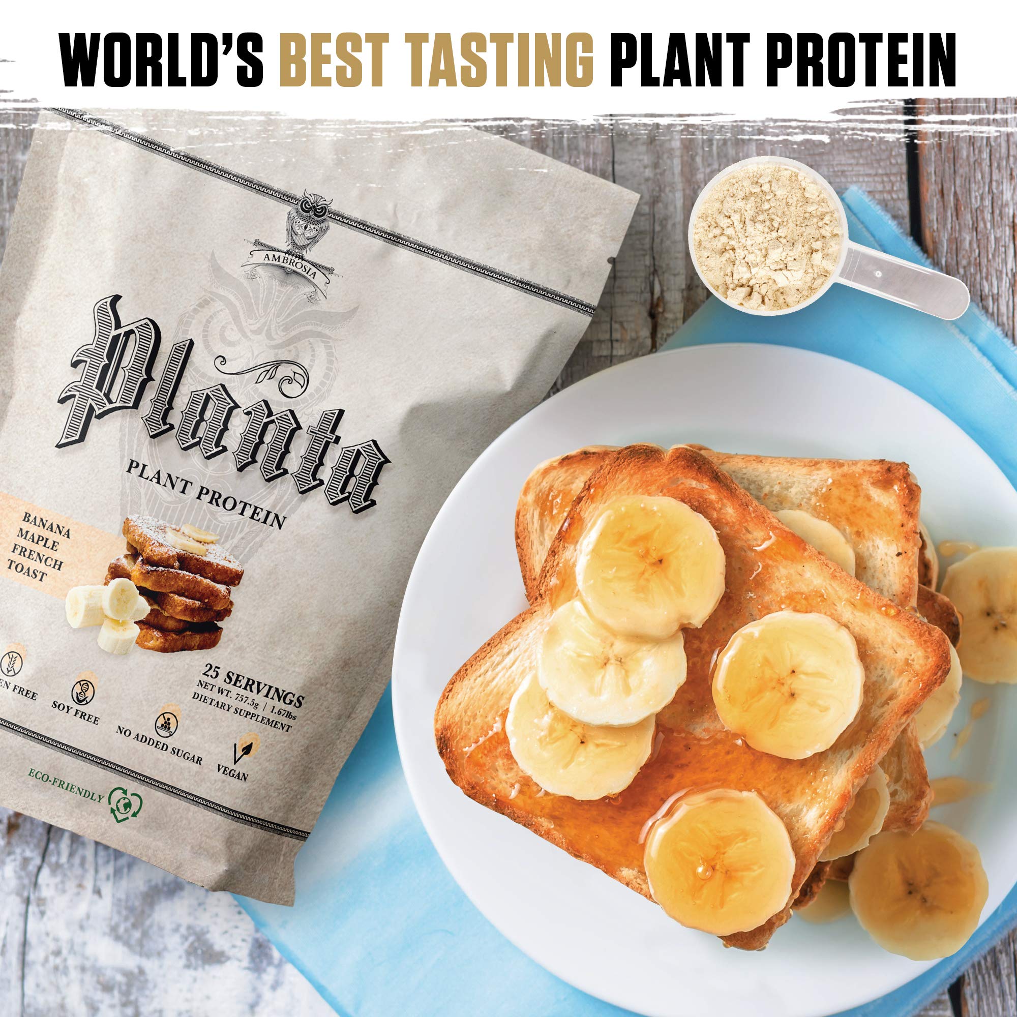 Ambrosia Planta protein powder scoop for smooth, daily protein