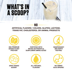 Ambrosia Planta SunBCAA bottle emphasizes amino acids from fermented sunflowers for recovery