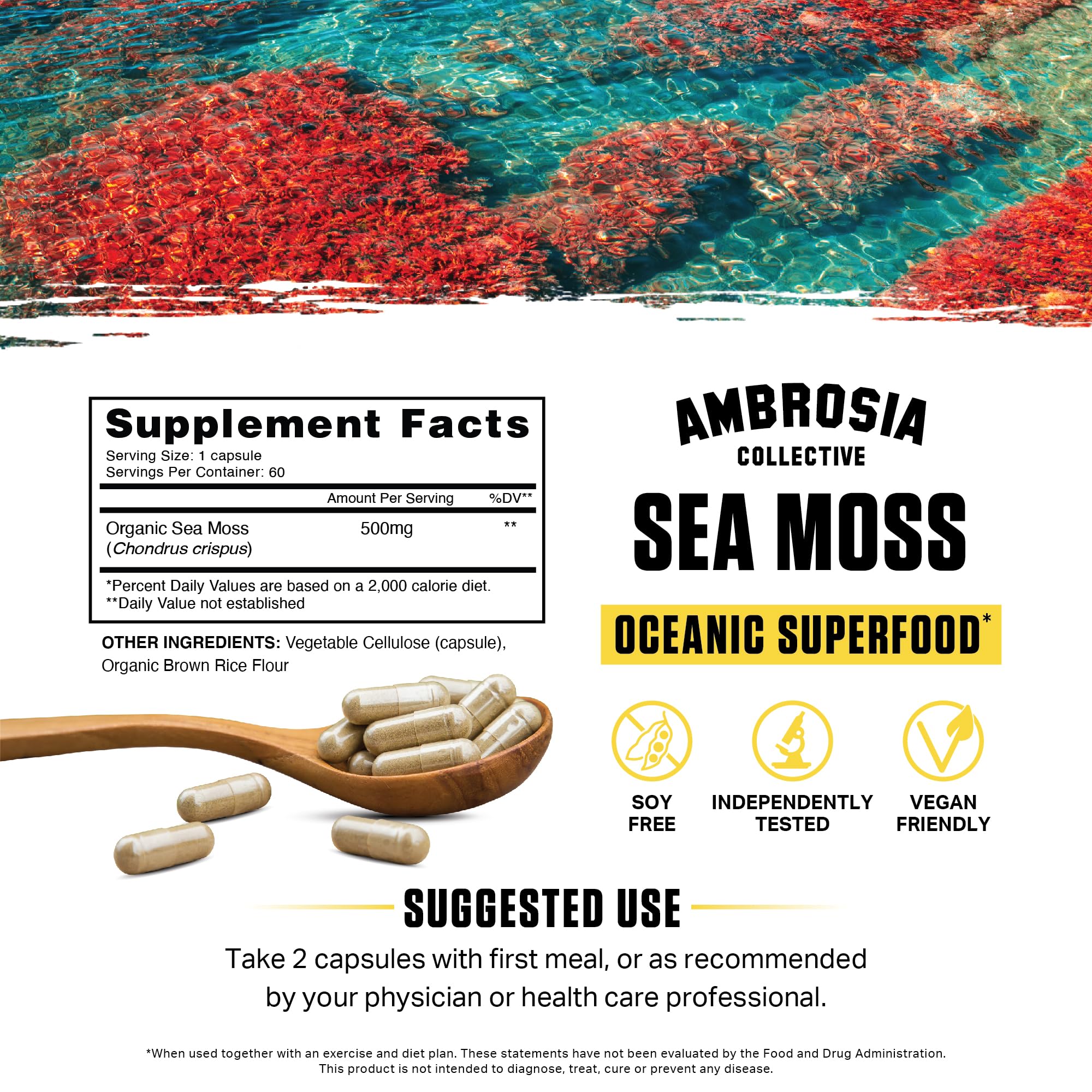 Ambrosia Sea Moss Capsules packaging on display emphasizing organic sea moss veggie capsules.