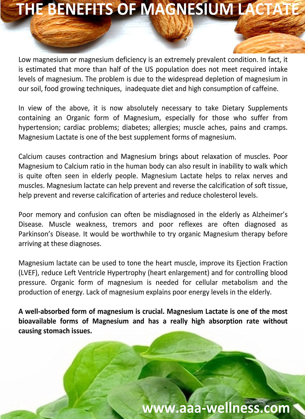 American Anti Aging Magnesium Lactate packaging communicates high absorption and mineral support