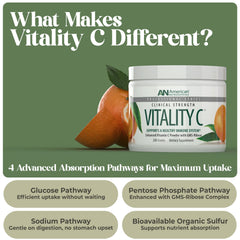 American Nutriceuticals Vitamin C Powder scoop enables precise, tasteless daily dosing