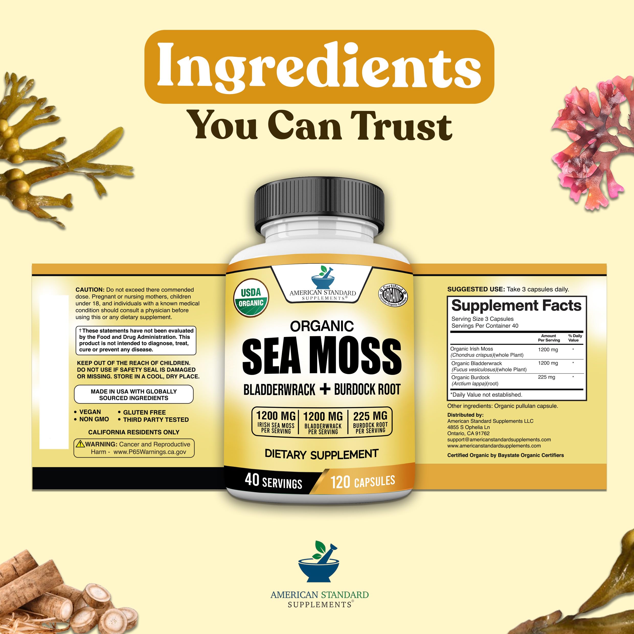 American Standard Supplements bottle in hand suggests convenient daily regimen.