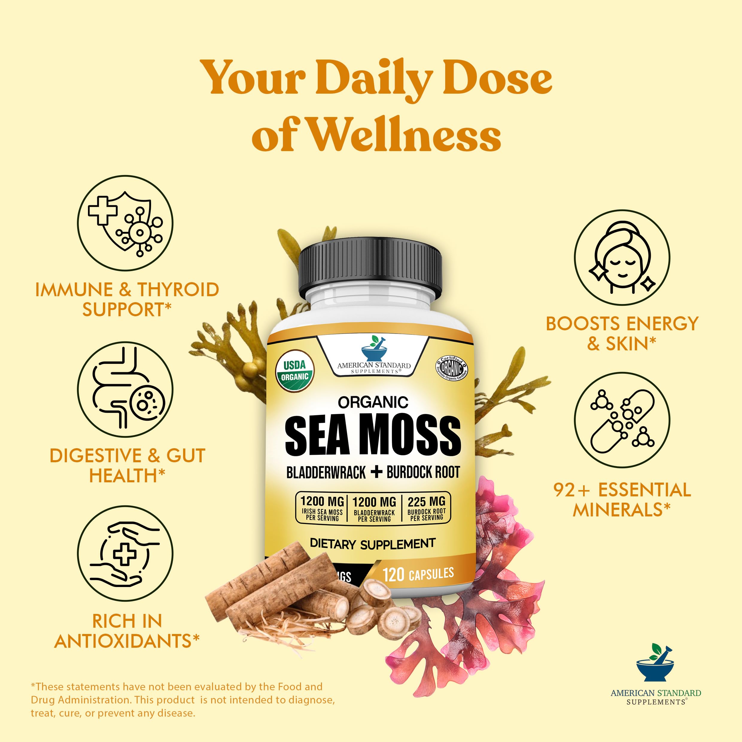 American Standard Supplements capsule close-up shows clean, simple formula.