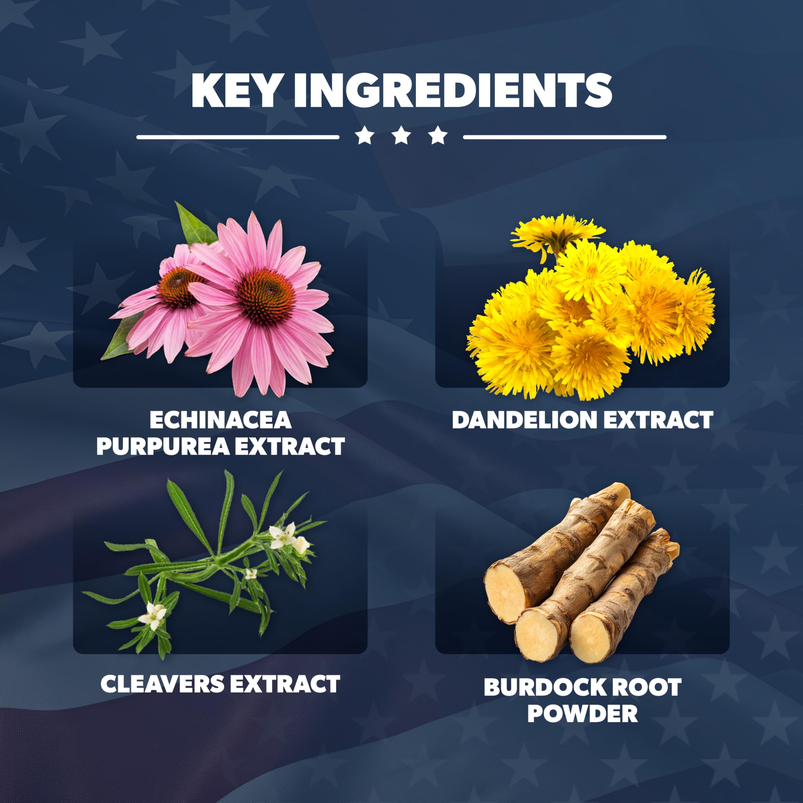 AMERICAN VITALITY LymphaVive label detail shows vegan gluten-free formula