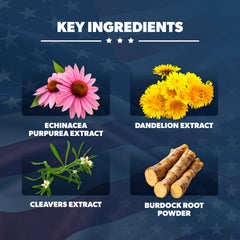 AMERICAN VITALITY LymphaVive label detail shows vegan gluten-free formula