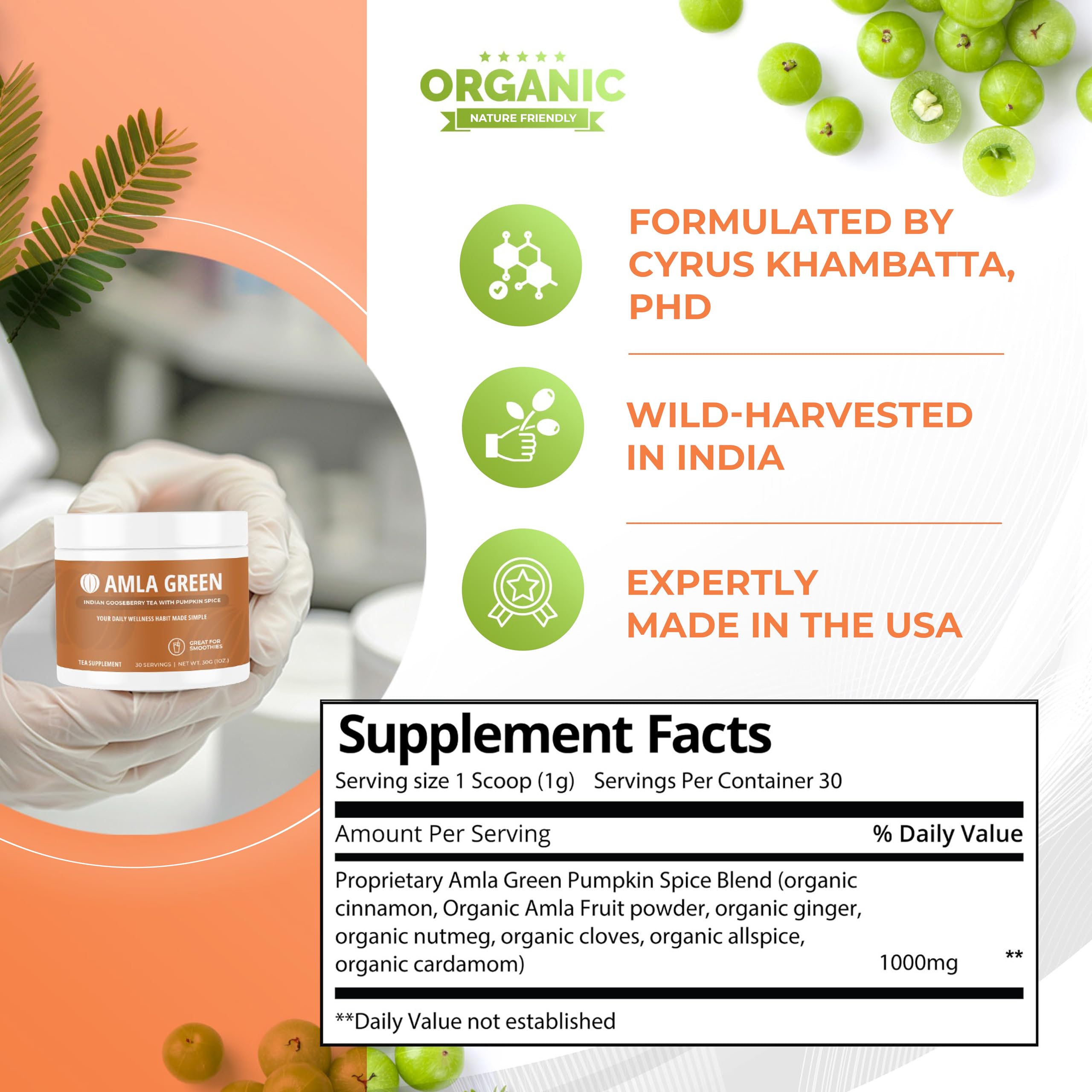 Close-up of the pumpkin spice blend in the Amla Green formula.