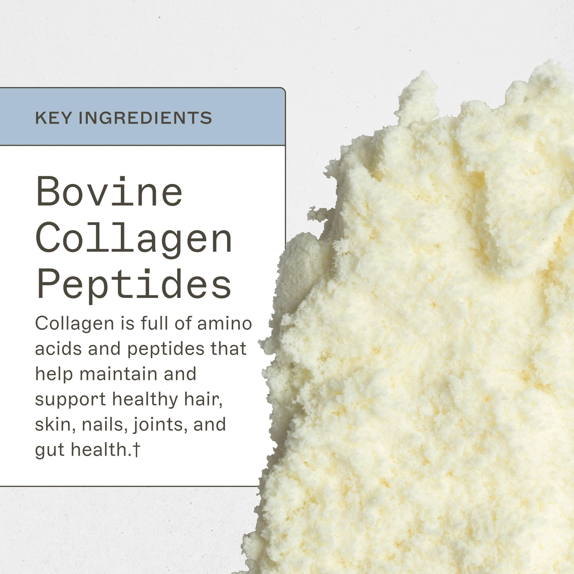 Label of Amy Myers MD collagen protein powder showing clean gluten-free formula