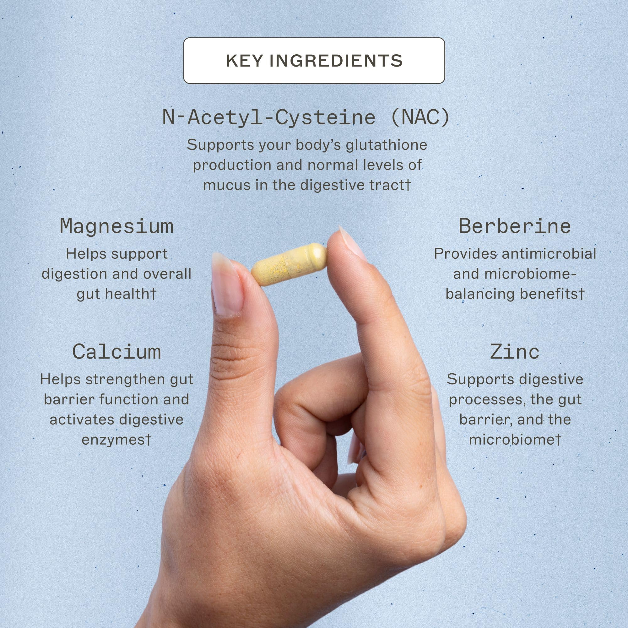 Close-up of the Amy Myers MD Microb-Clear label highlighting gluten-free and allergen-free claims