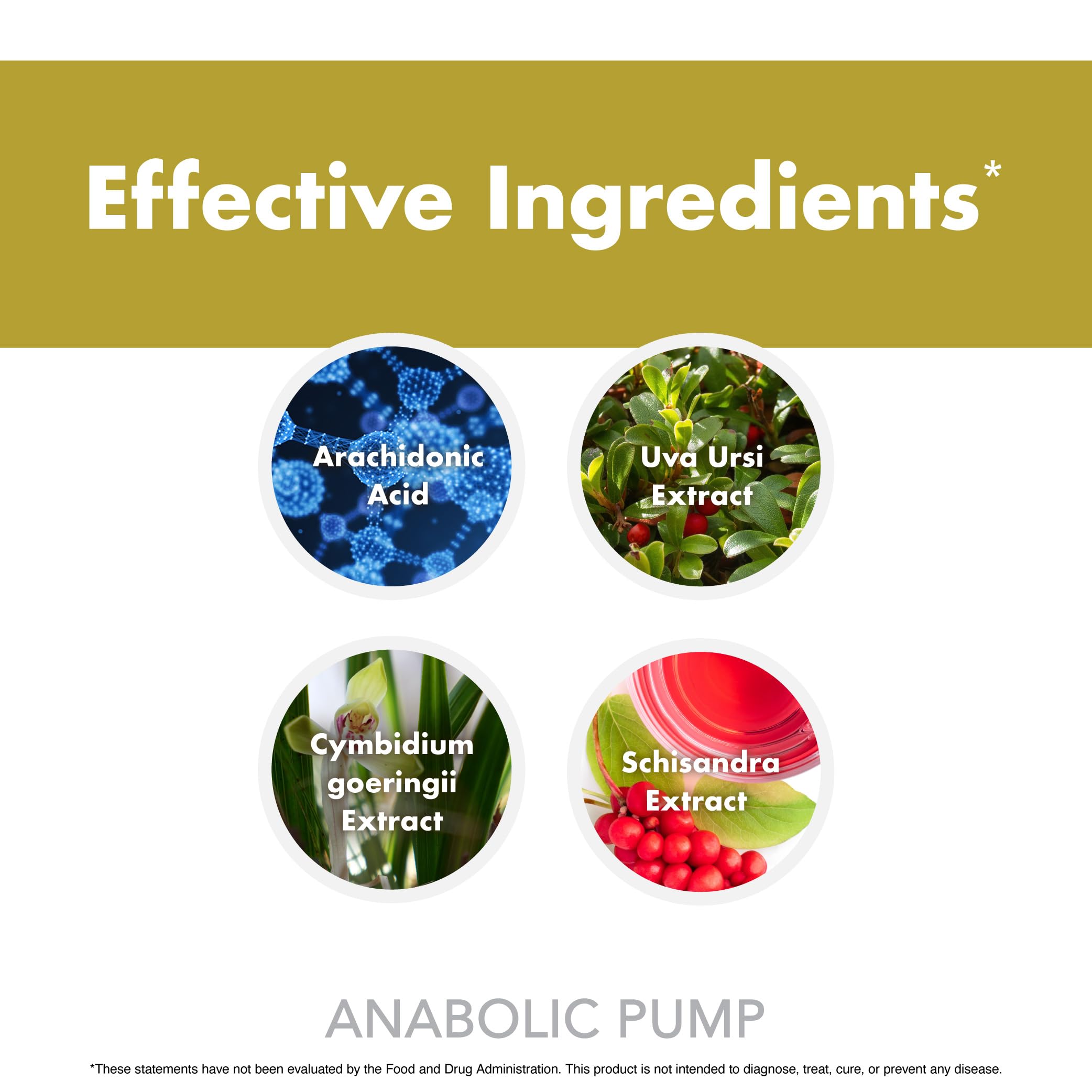 Anabolic Warfare Anabolic Pump manufacturing facility badge signaling quality and safety.
