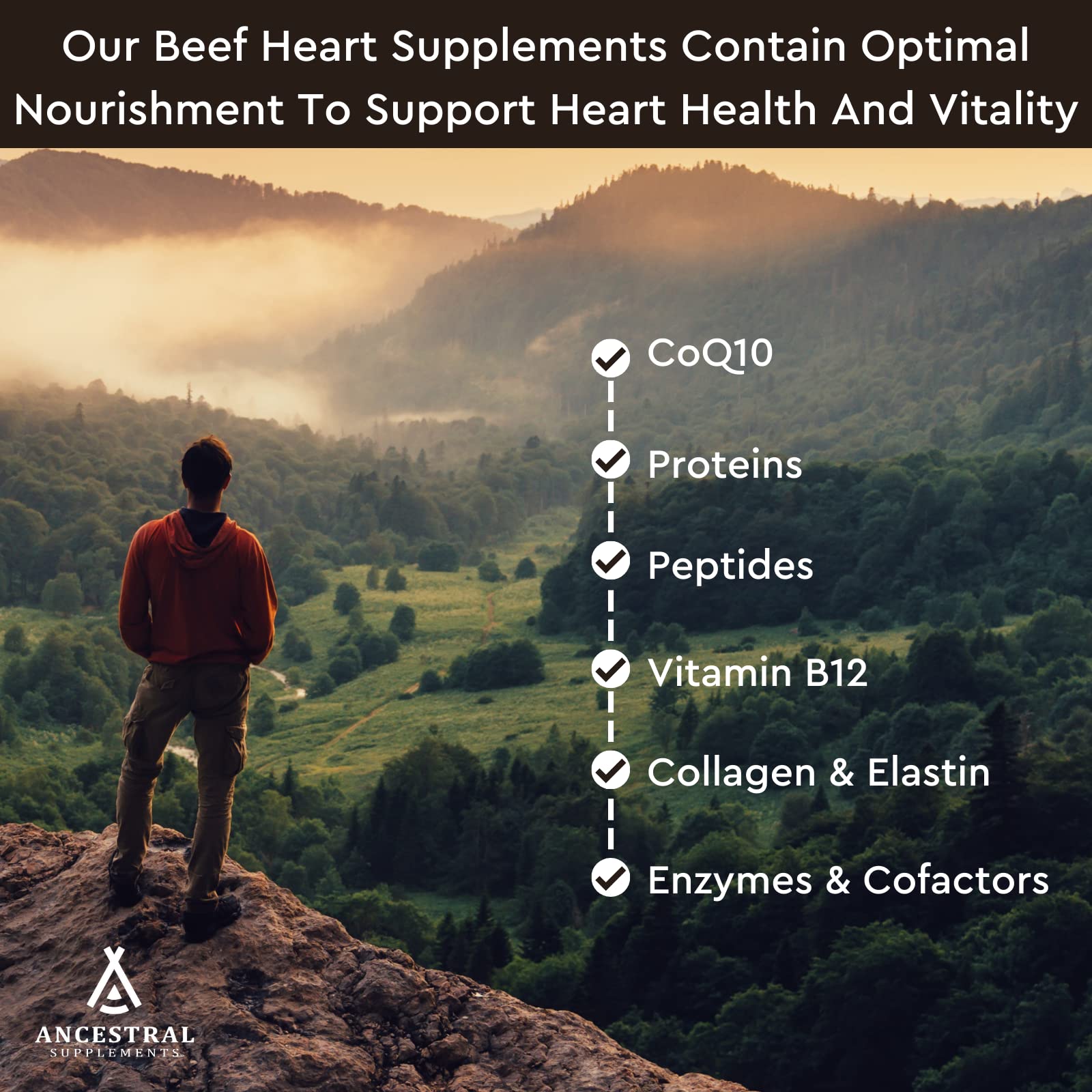 Ancestral Supplements beef heart capsules closeup emphasizing dense, nutrient-rich protein.