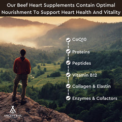 Ancestral Supplements beef heart capsules closeup emphasizing dense, nutrient-rich protein.