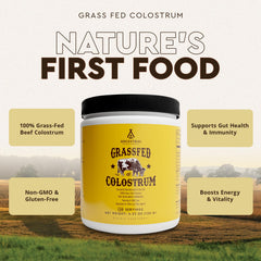 Ancestral Supplements Bovine Colostrum Powder scoop for easy daily dosing.