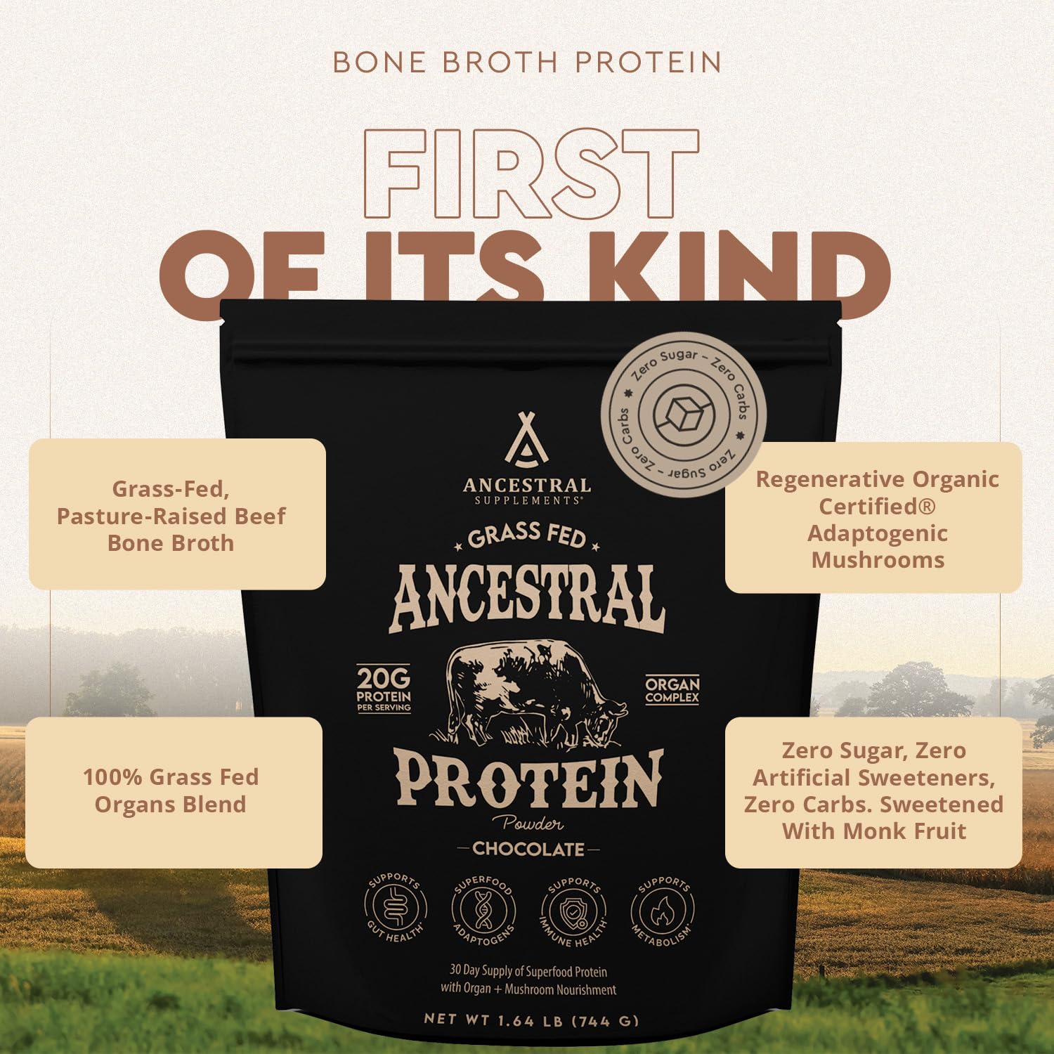 Ancestral Supplements chocolate shake ready to fuel workouts.