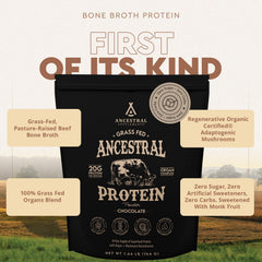 Ancestral Supplements chocolate shake ready to fuel workouts.