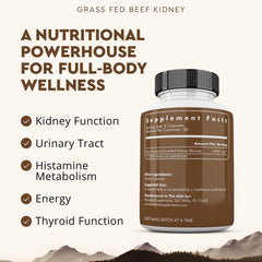 Ancestral Supplements dao enzyme ingredient close-up emphasizing histamine support potential