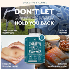 Ancestral Supplements grass-fed organ blend image highlighting kidney, liver, and pancreas nutrients.