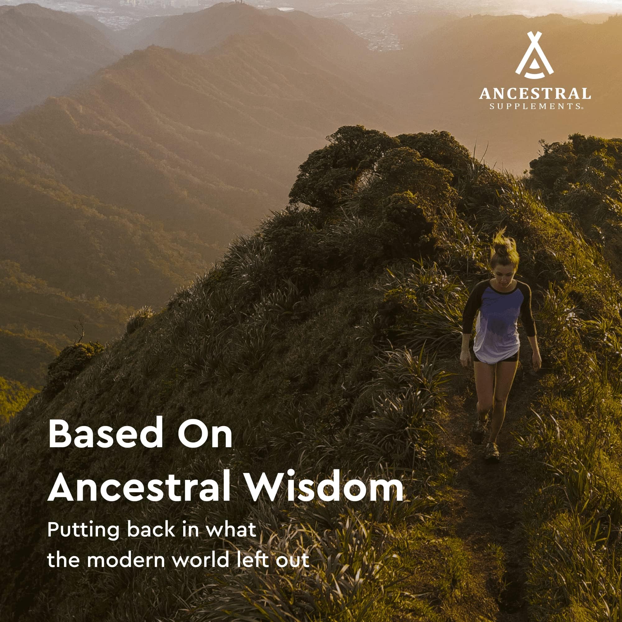 Ancestral Supplements spleen capsules presented as part of a daily wellness routine.