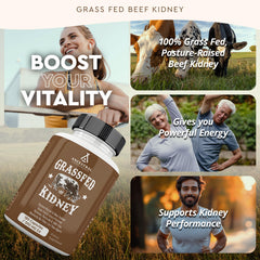 Ancestral Supplements kidney health bottle close-up highlighting capsule form for daily wellness