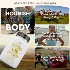 Closeup of Ancestral Supplements Living Collagen capsules for easy daily use