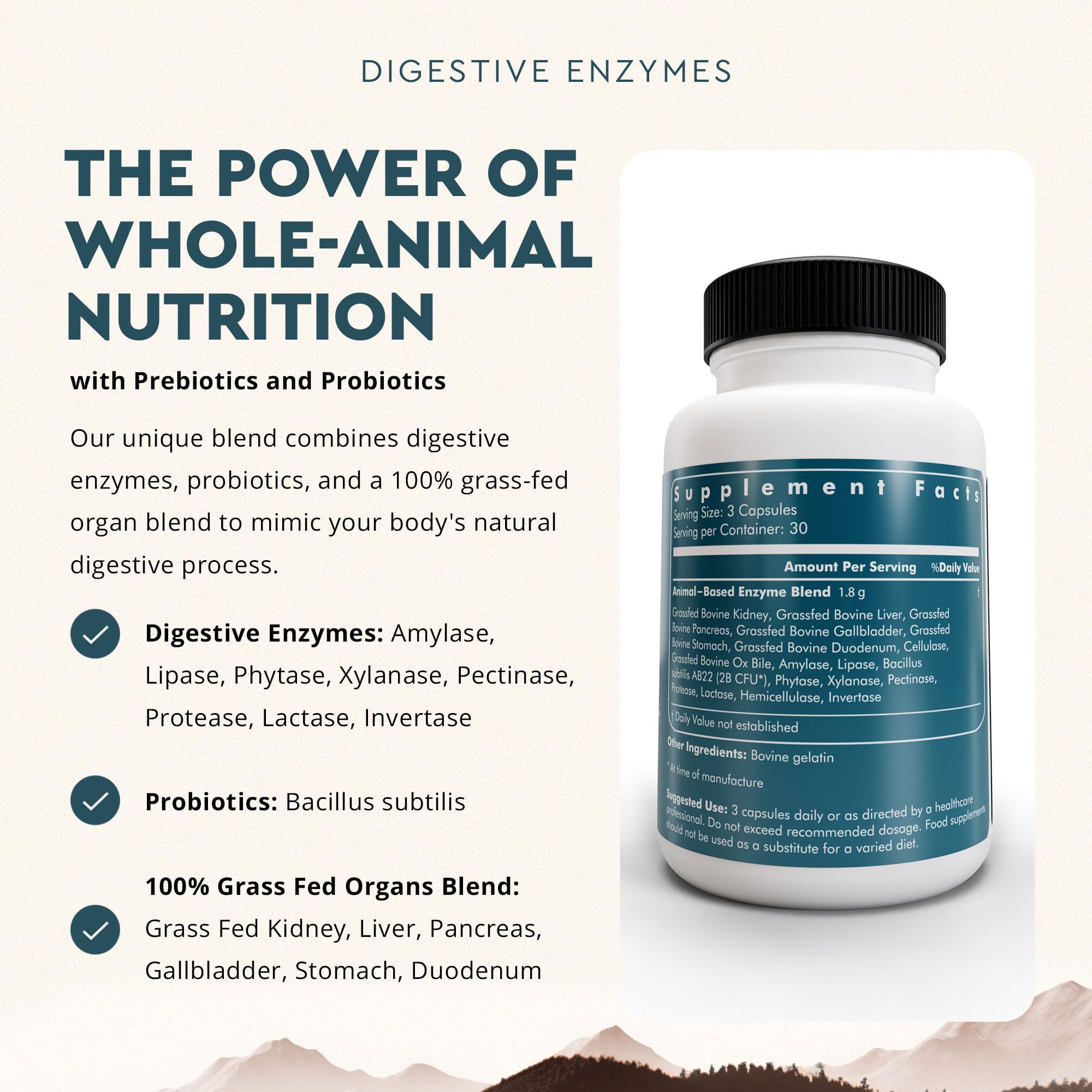 Ancestral Supplements organ blend featuring gallbladder, stomach, and duodenum for holistic nourishment.